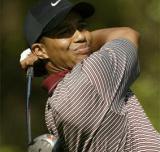 Todo sobre el famoso Tiger Woods